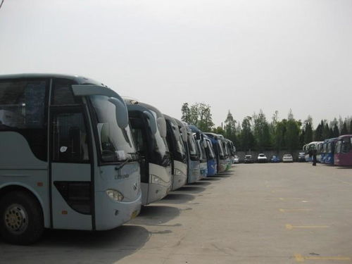 鄭州四海租車 專業大巴婚慶及商務汽車租賃服務